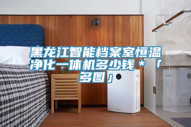 黑龍江智能檔案室恒溫凈化一體機多少錢(qián)＊「多圖」