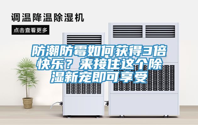 防潮防霉如何獲得3倍快樂？來接住這個除濕新寵即可享受