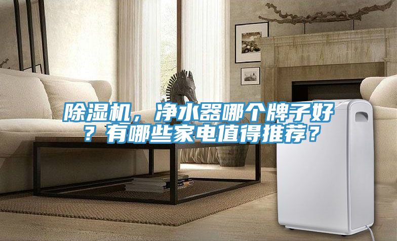 除濕機,凈水器哪個牌子好?有哪些家電值得推薦?