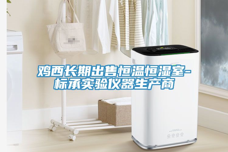 雞西長(cháng)期出售恒溫恒濕室-標承實(shí)驗儀器生產(chǎn)商