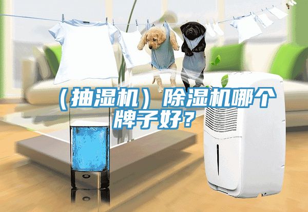 （抽濕機）除濕機哪個(gè)牌子好？