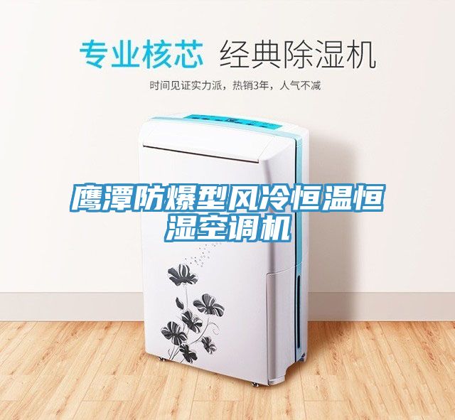 鷹潭防爆型風(fēng)冷恒溫恒濕空調機