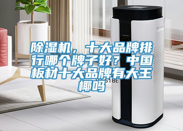 除濕機，十大品牌排行哪個牌子好？中國板材十大品牌有大王椰嗎