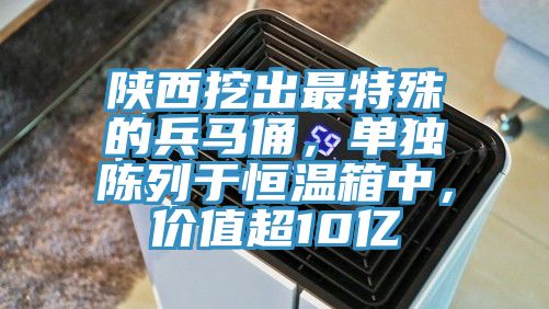 陜西挖出最特殊的兵馬俑,單獨(dú)陳列于恒溫箱中,價(jià)值超10億