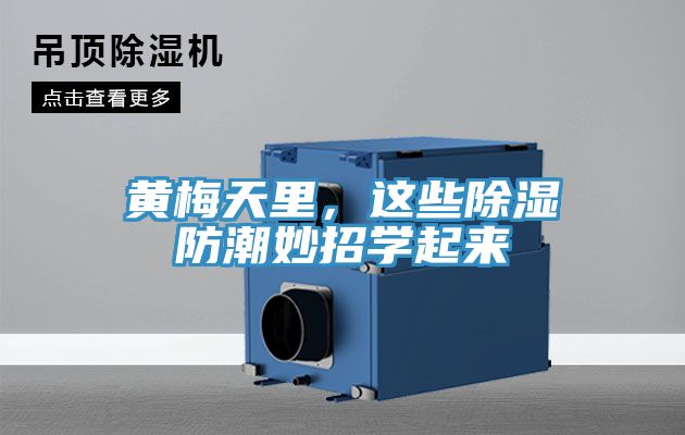 黃梅天里，這些除濕防潮妙招學(xué)起來(lái)