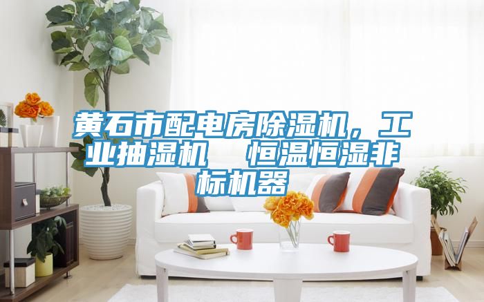 黃石市配電房除濕機，工業(yè)抽濕機  恒溫恒濕非標機器