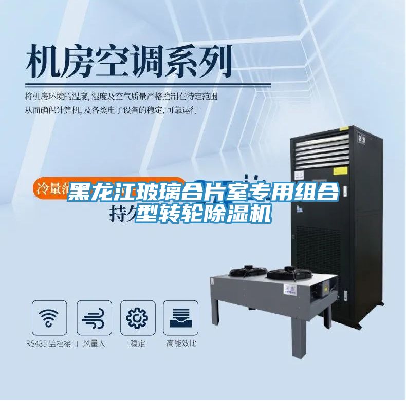 黑龍江玻璃合片室專(zhuān)用組合型轉輪除濕機