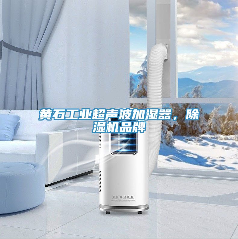 黃石工業(yè)超聲波加濕器，除濕機品牌