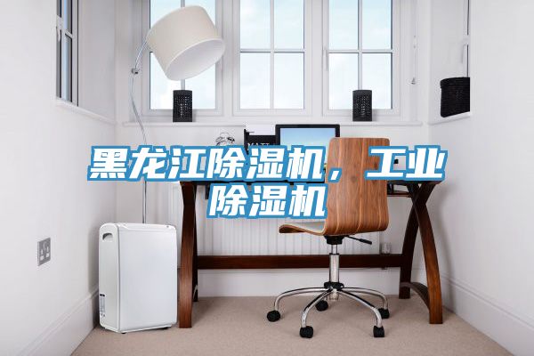 黑龍江除濕機，工業(yè)除濕機